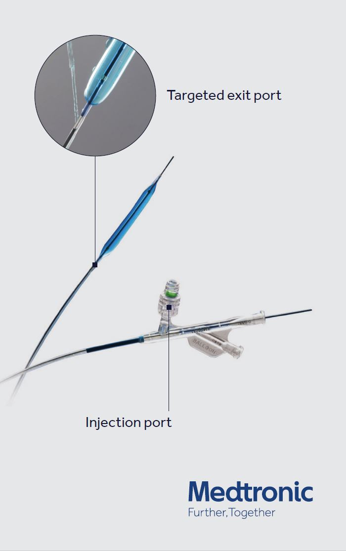 Chameleon* PTA Balloon Catheter